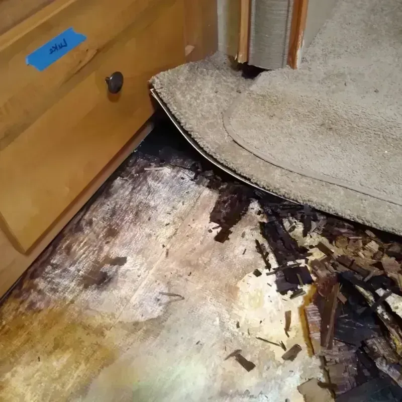 Wood Floor Water Damage in Chrisman, IL